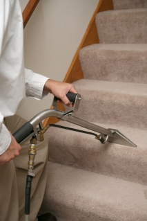 Ensuring That Your House Is Always Looking Its Best
