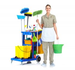 Hackney Corporate Cleaner E5