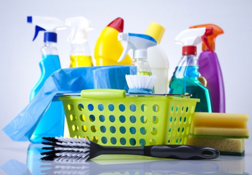 Professional cleaner in Hackney working in a modern home