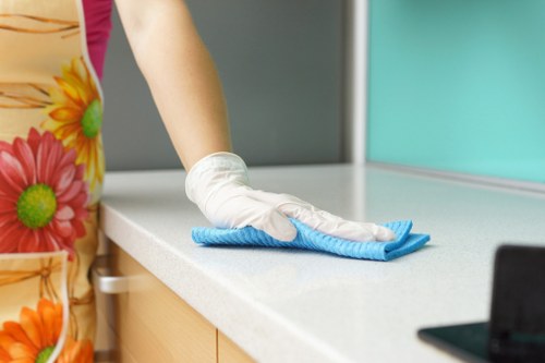 Cleaner assessing a work area for hazards before starting