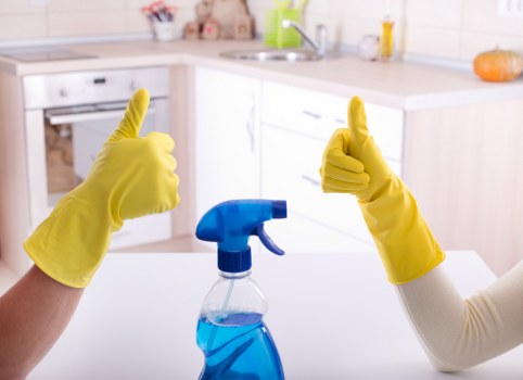 Professional cleaner preparing service equipment for a booked cleaning appointment
