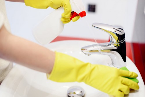 Regular domestic cleaning service in a Hackney apartment