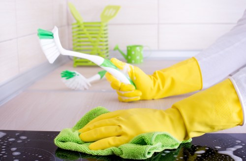 Eco-friendly home cleaning service in Hackney