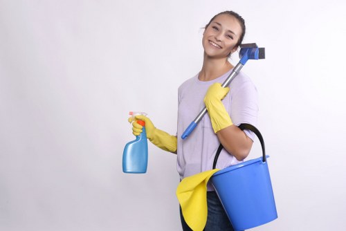 Cleaner handling cleaning products with safety precautions