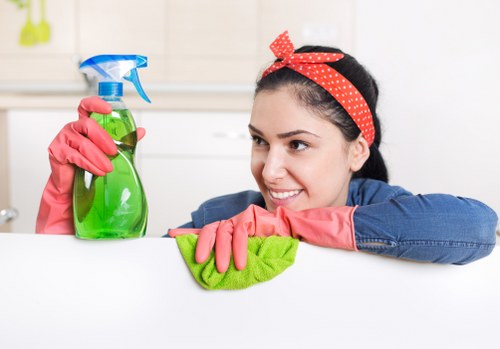 Professional Hackney cleaners working with attention to detail
