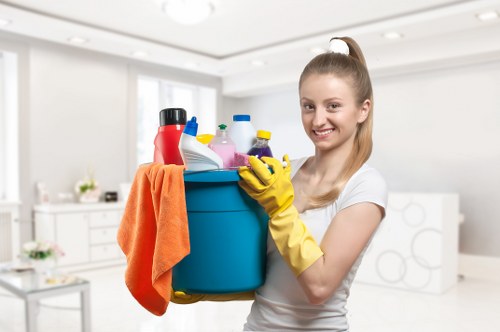 Domestic cleaning supplies used by cleaners in Hackney